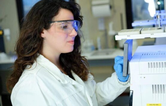 {{brizy_dc_image_alt imageSrc=